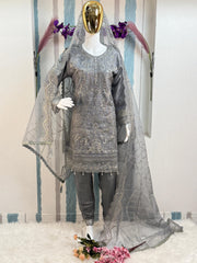 Pakistani Readymade Organza Kurti Set