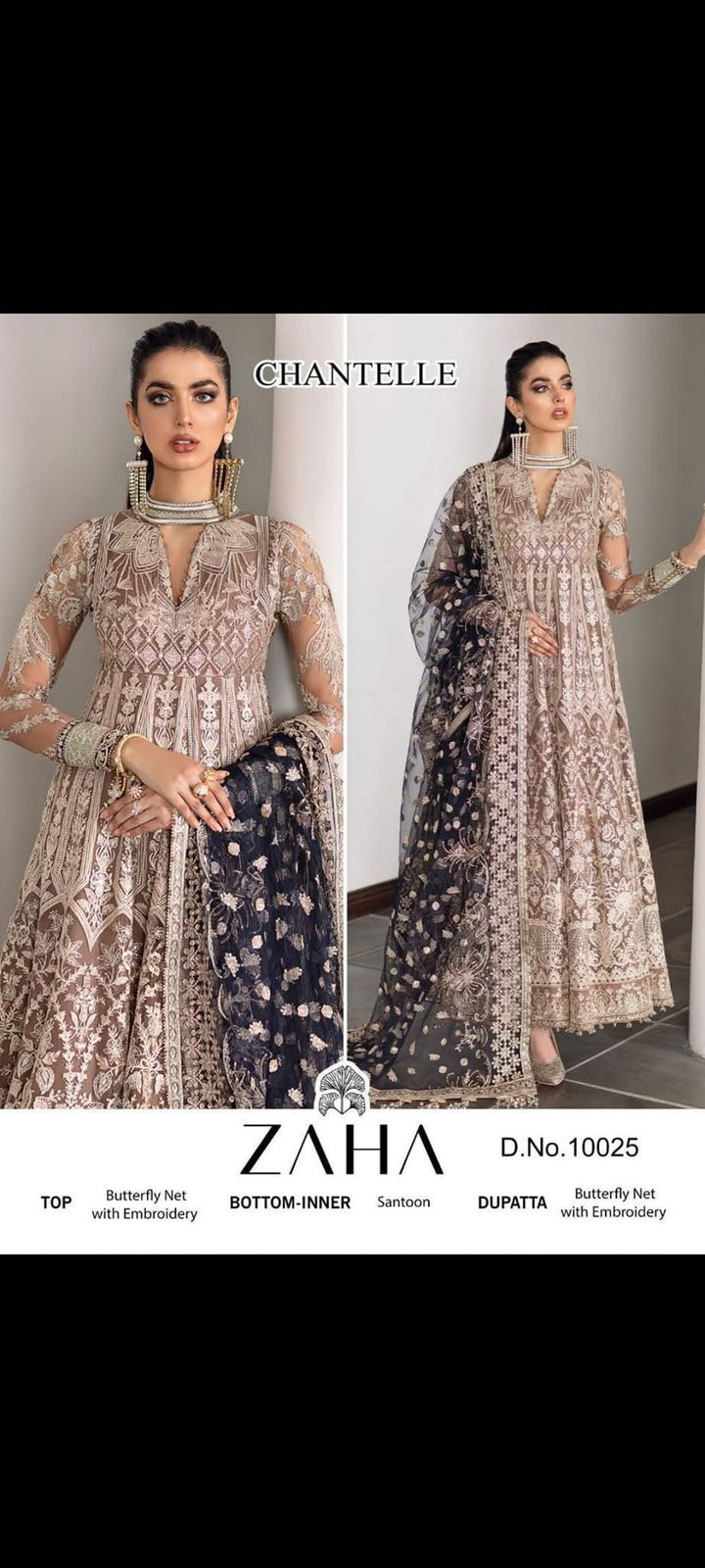 Pakistani Concept – Premium Butterfly Net Suit 💫