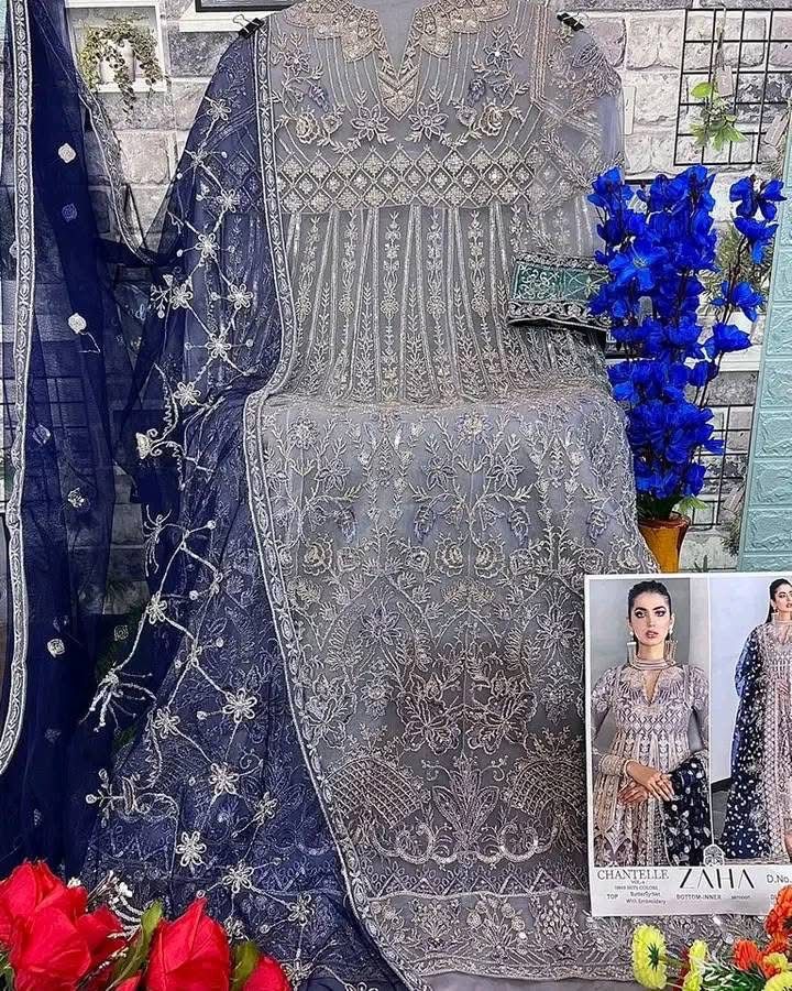 Pakistani Concept – Premium Butterfly Net Suit 💫