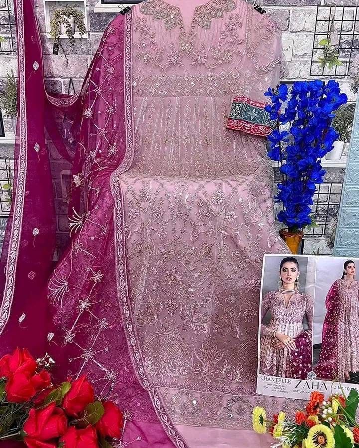 Pakistani Concept – Premium Butterfly Net Suit 💫