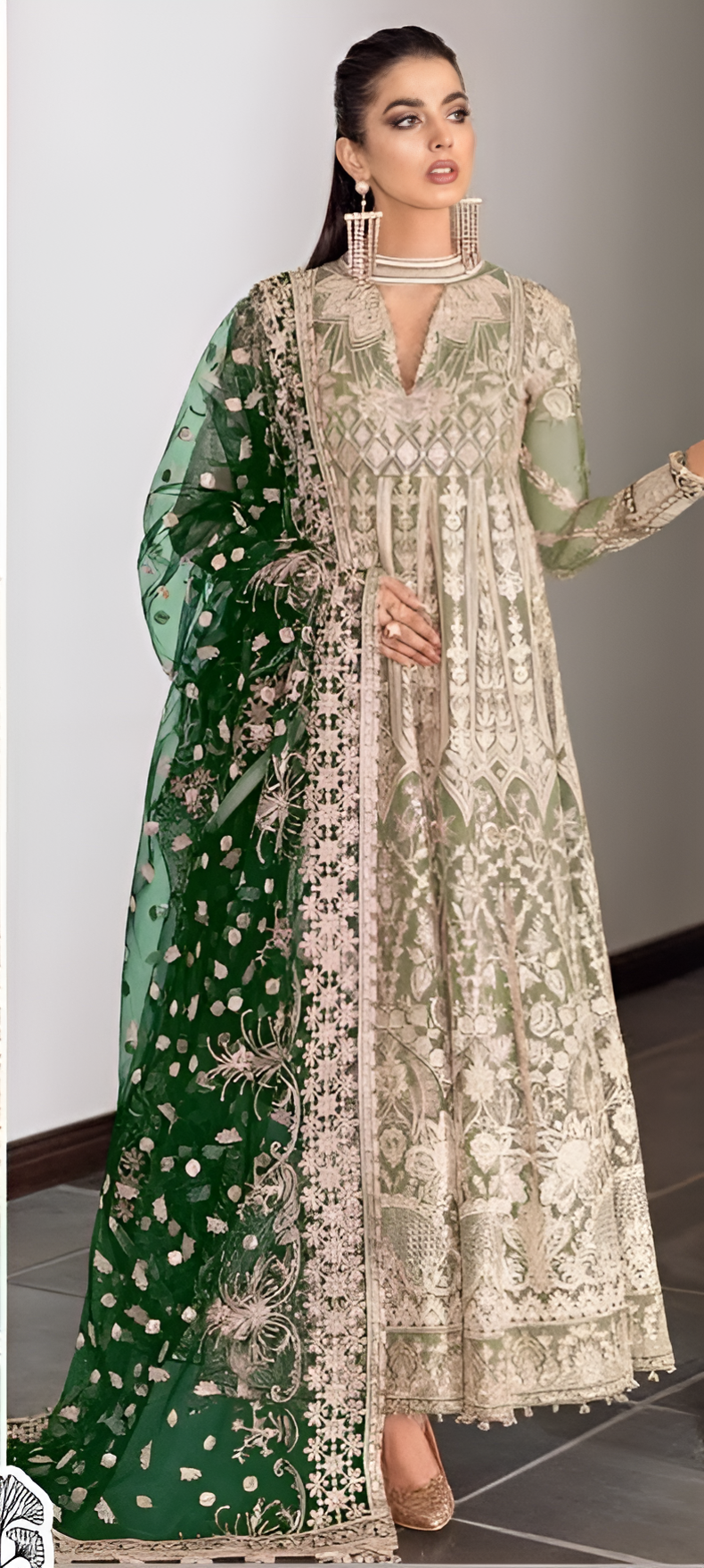 Pakistani Concept – Premium Butterfly Net Suit 💫